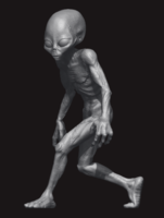 Grey Alien 01 - Image 1