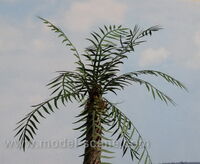 Palm Leaves Green - Type I - Image 1